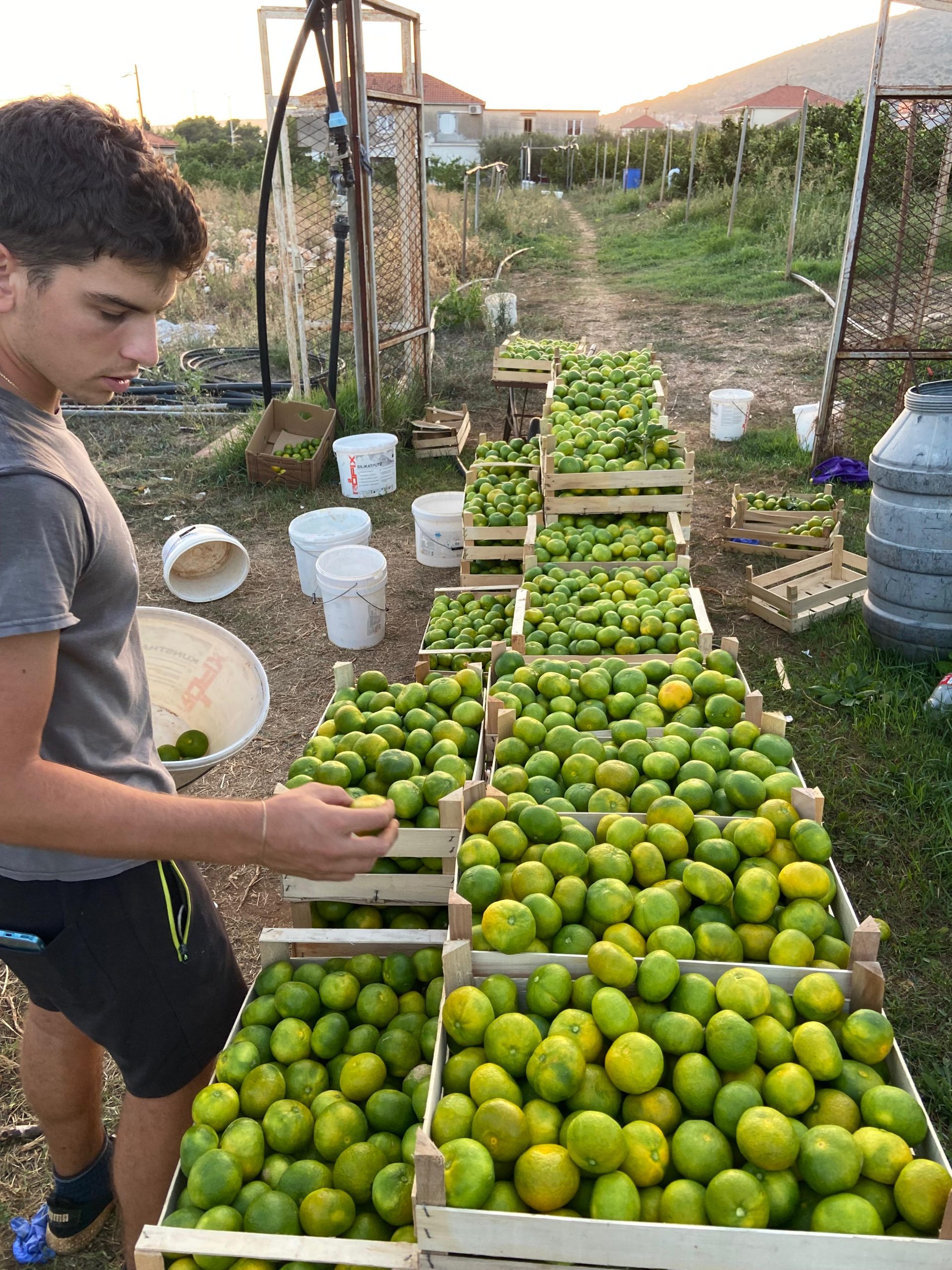 1748fe2f ab1c 4f1a 95a2 e8d463312c77