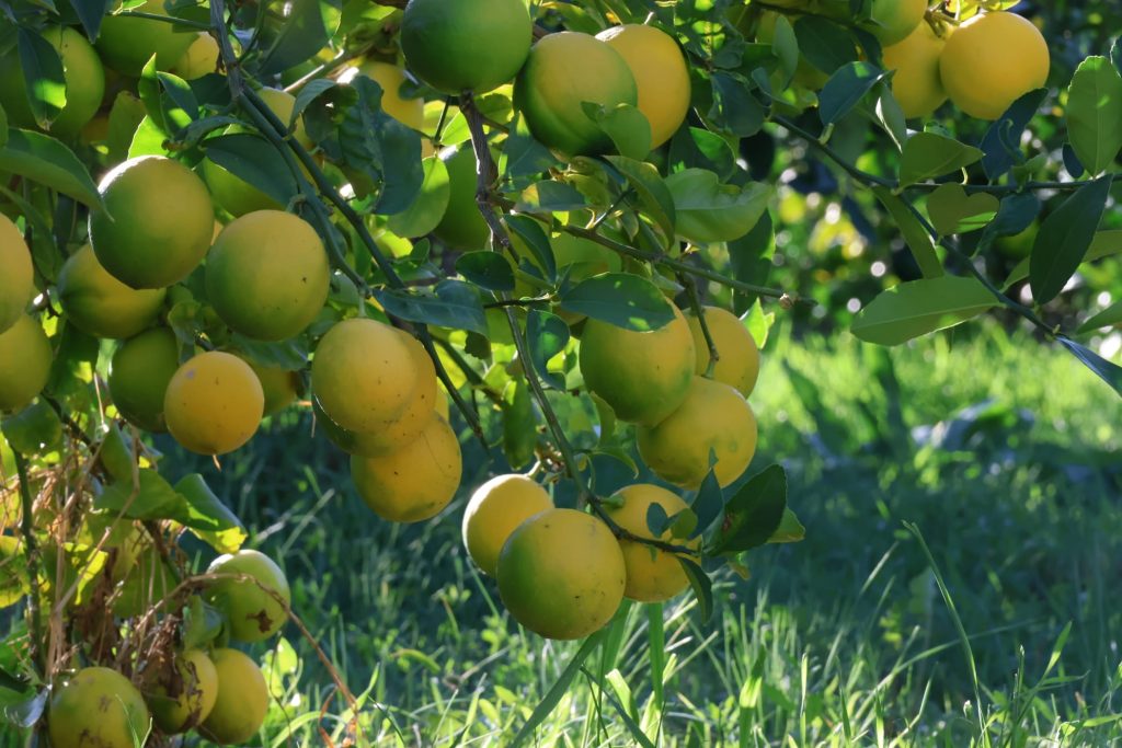 2f7c5e96-ae5d-493b-8b8d-452b9a0d0472