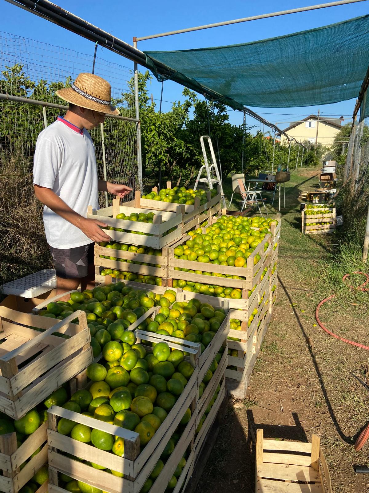 4bfc46e8 e652 490b 8705 2511227e971d