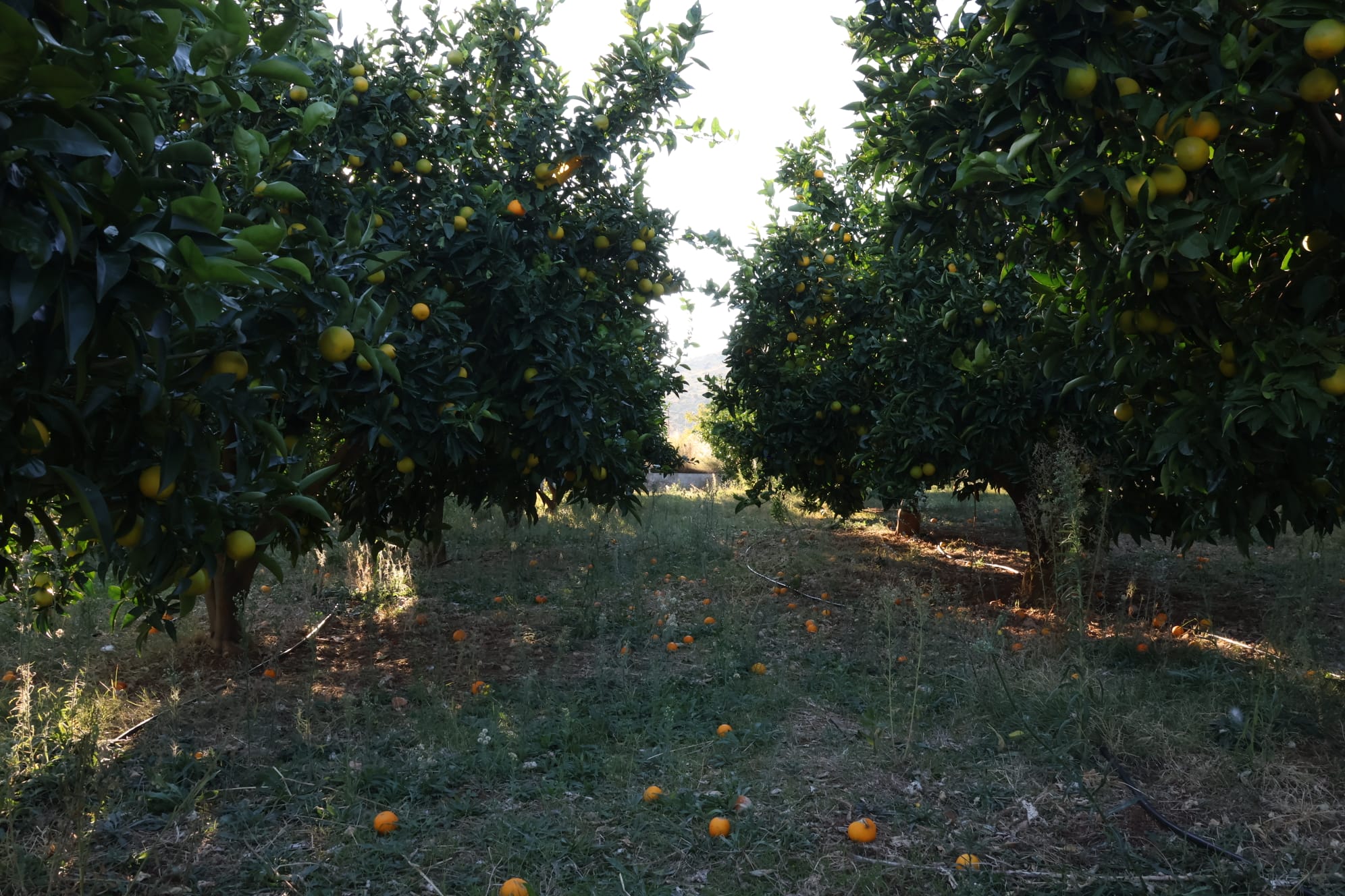 8bb51ca9 46f8 4b87 985c 1459998ca88d