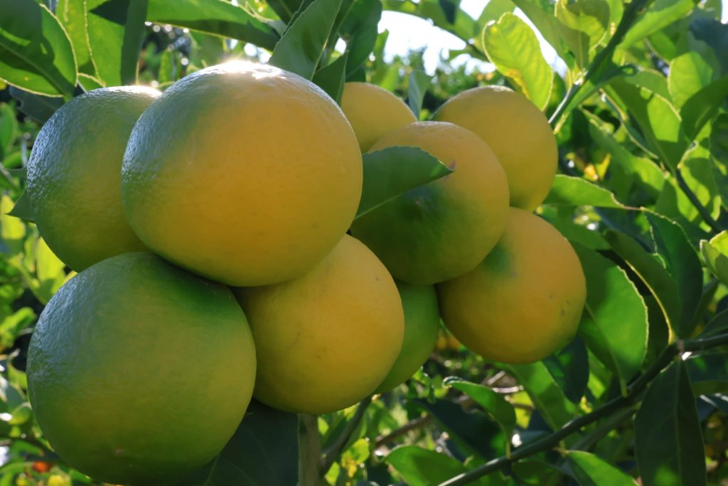 969d6d37-29f7-4a9f-acc7-af650d98488a