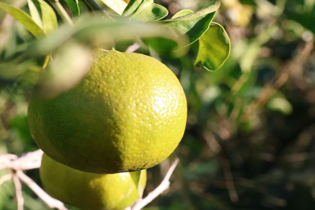 b51accc5-3000-4818-88cb-8a37bdcdfead