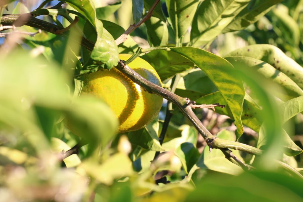 c8bc79d6-674e-43f0-95c6-8e496a5d701c