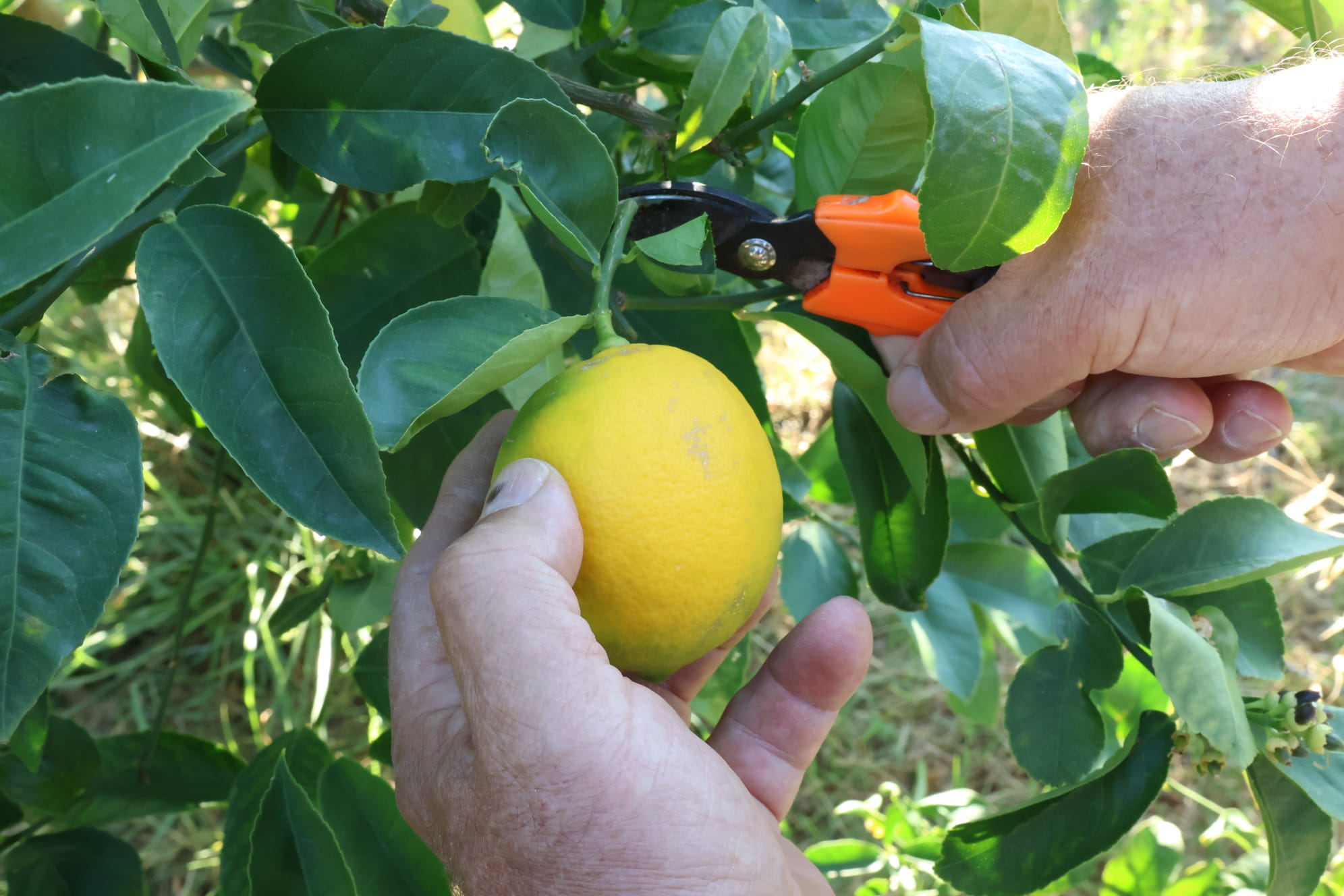 d00a183e abf8 4513 b911 25e0e0d2c434