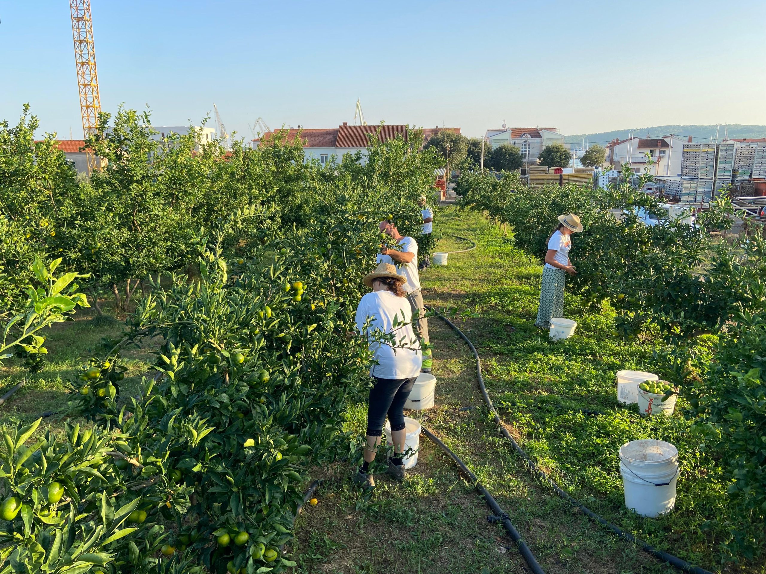 d2734ea5 2451 4e60 b800 0e416ebec0fd